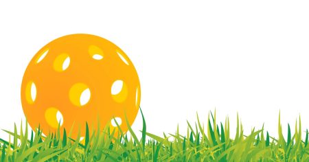 Can You Play Pickleball On Grass? Pros & Cons Can you play pickleball on grass Image 1