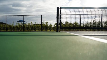 $900 Million In Pickleball Court Development Needed To Meet U.S. Demand Pickleball Court Demand