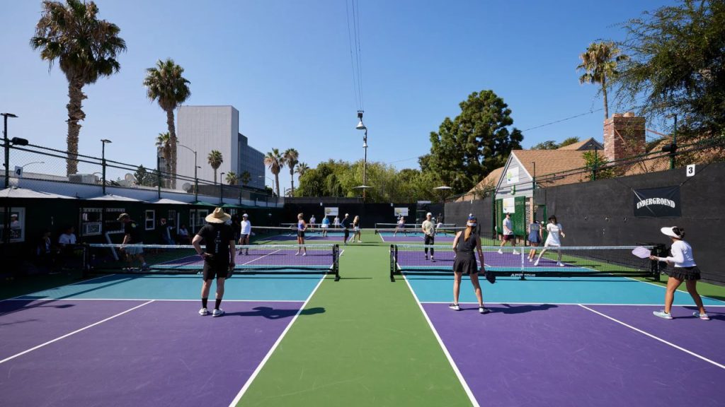 Image courtesy of santamonicapickleballcenter.com