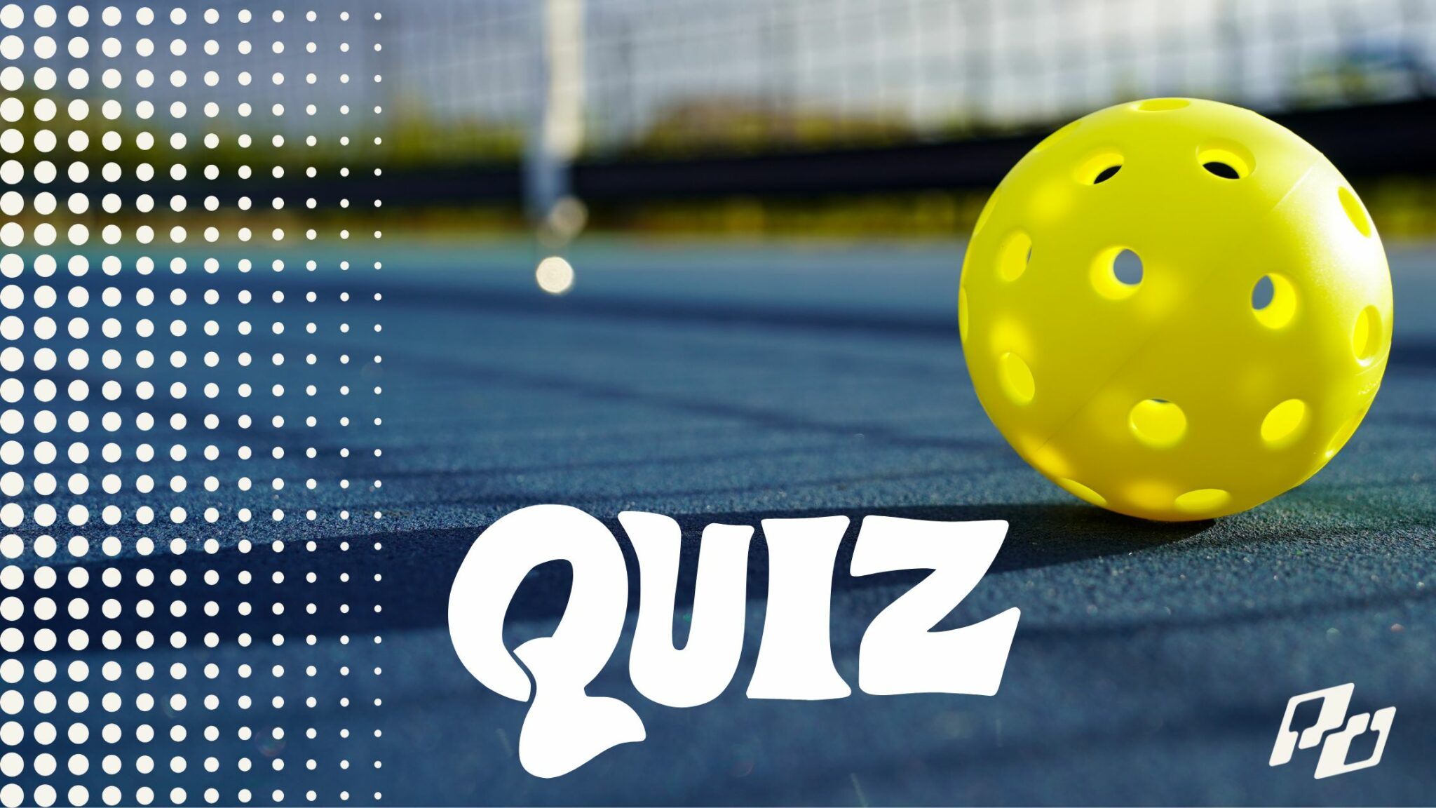 pickleball rating quiz