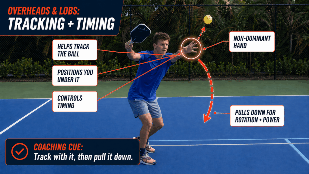 What Your Non-Dominant Hand Should Do in Pickleball 2 how to use the non dominant hand for overheads and lobs in pickleball