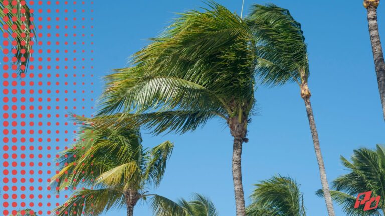 How to Play Pickleball in the Wind