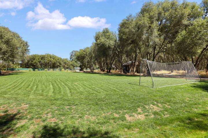 Apple Hill Escape Lighted Pickleball Pool Paradise 98