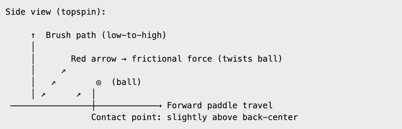 Microspin vs. Macrospin: Paddle Grit vs. Player Technique 2 THE PHYSICS OF SPIN