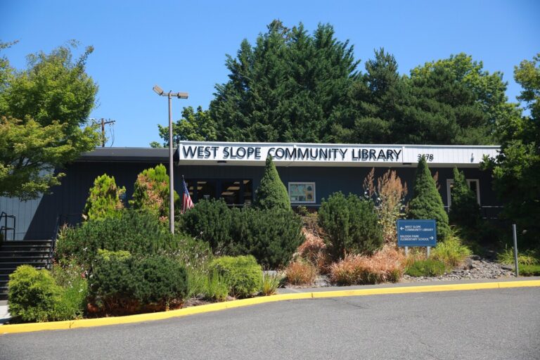 image 2025