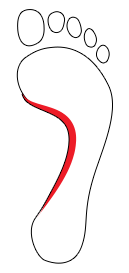 Medium arch footprint
